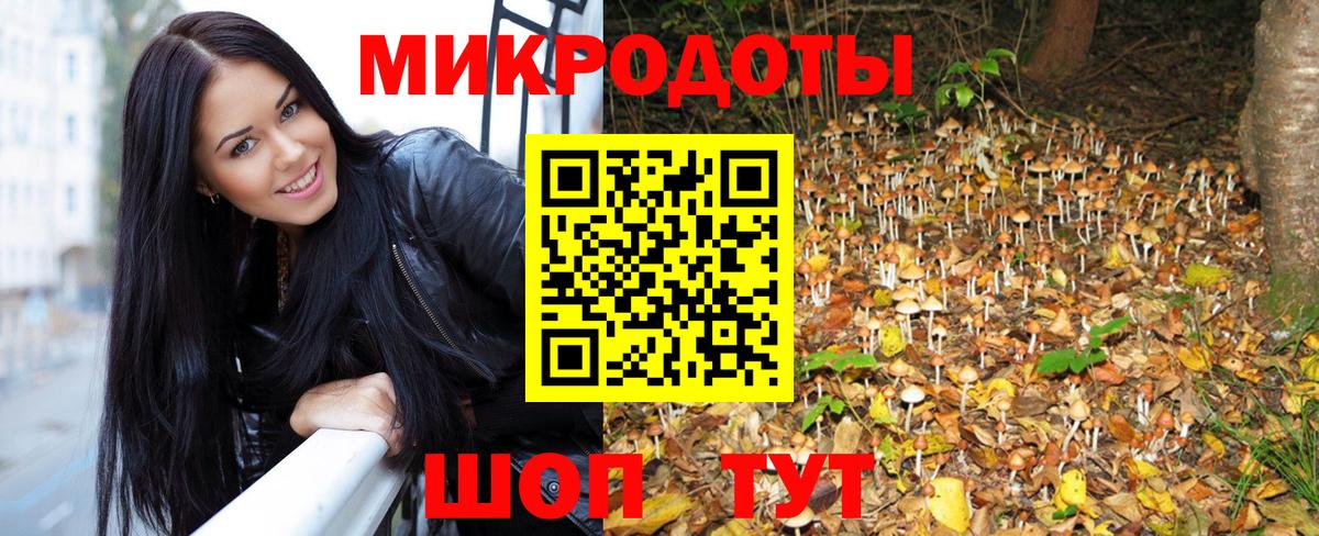 Шадринск  Галлюциногенные грибы Cubensis  Псилоцибиновые грибы GOLDEN TEACHER  купить закладку  Вход с VPN 
